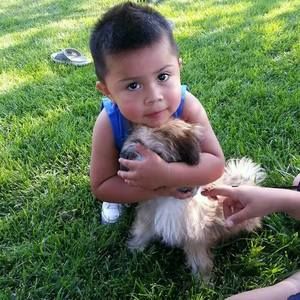 Meet your Posher, Saul